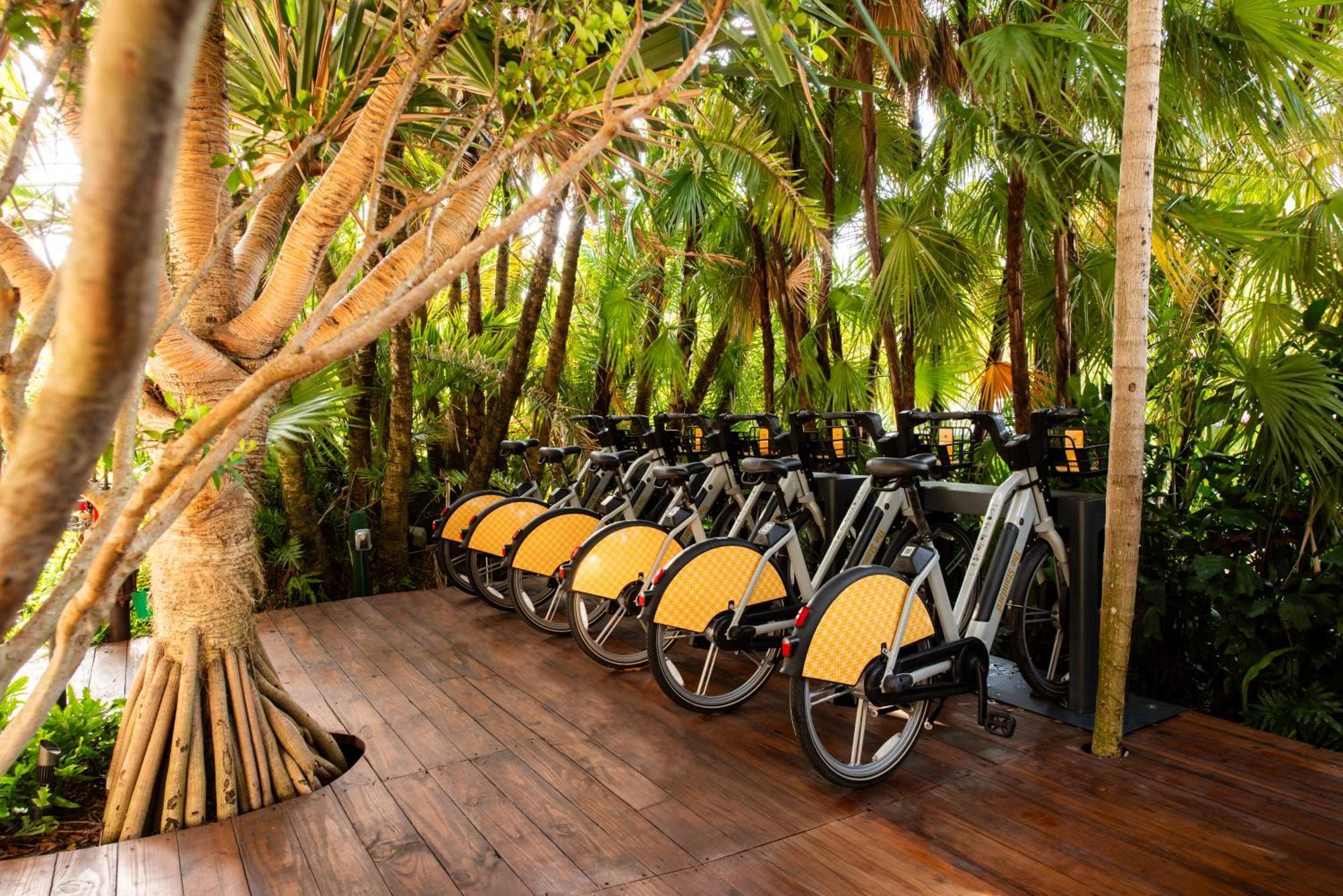 The Standard Miami Hotel Miami Beach Bagian luar foto